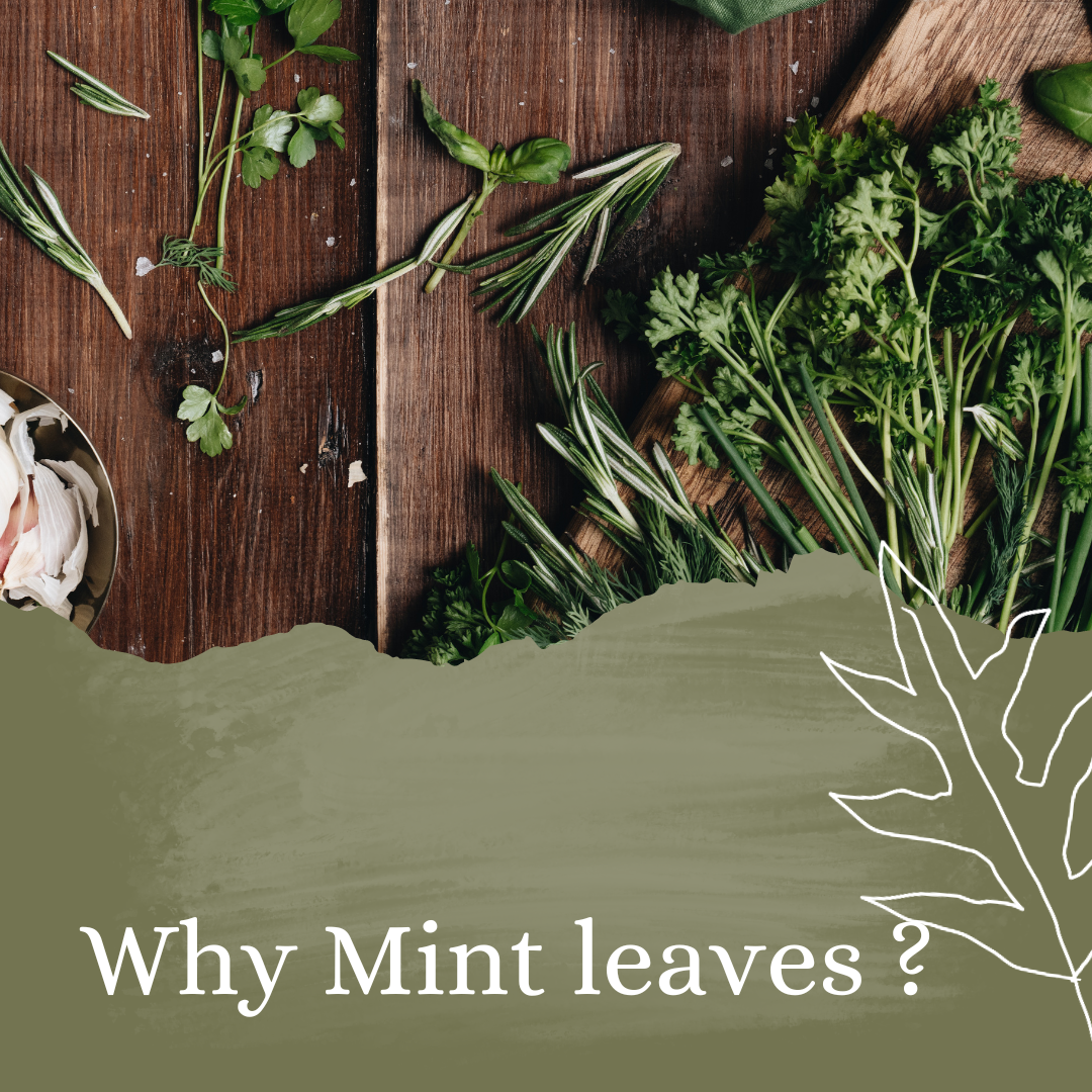 Peppermint Leaves and Mint water Benefits